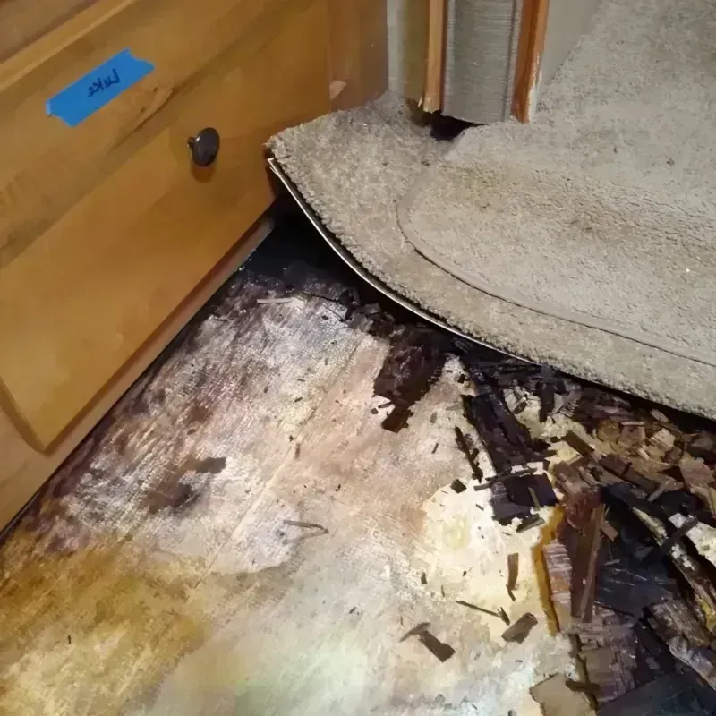 Wood Floor Water Damage in Alamo, TN